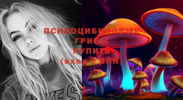 дмт Алзамай