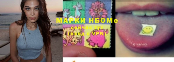 дмт Алзамай