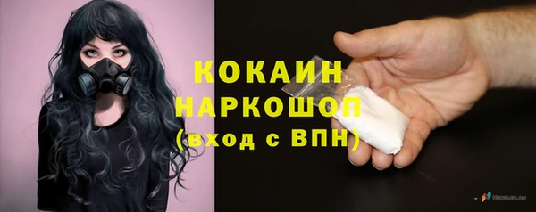 сатива Лабытнанги