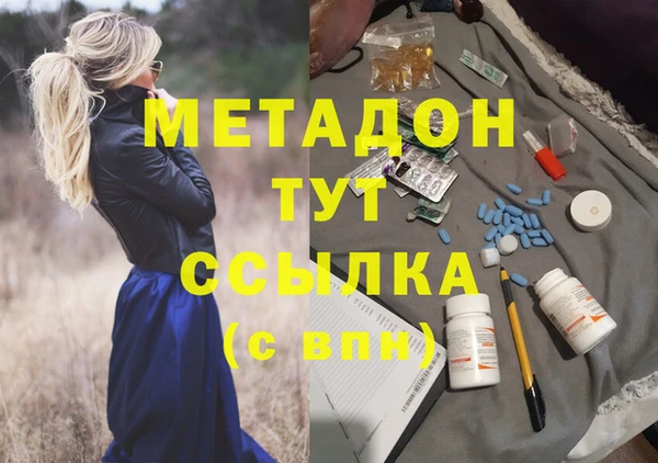 гидра Алексеевка