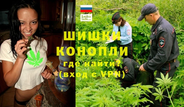 дмт Алзамай