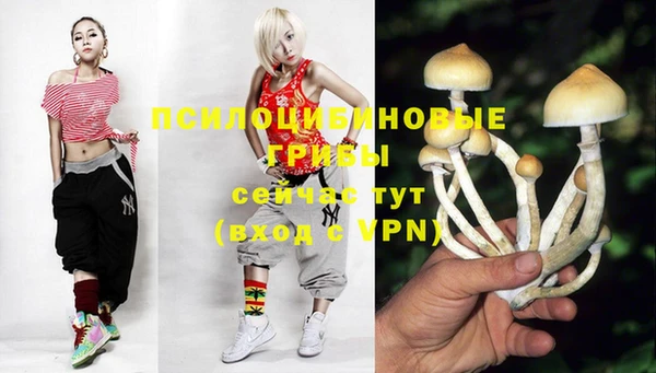 бошки Лагань