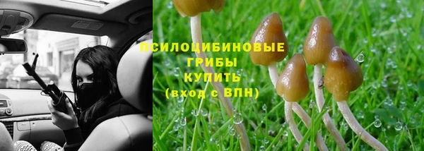 эйфоретик Алексин